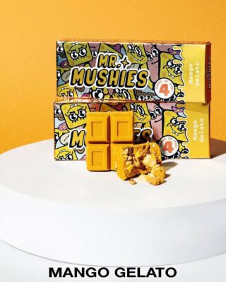 Buy Mr Mushies Mango Gelato Mushroom Chocolate Bars Online