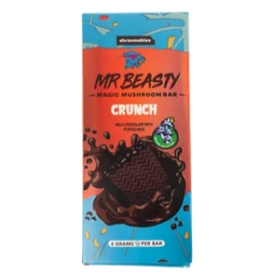 Mr. Beasty Crunch 4G Mushroom Chocolate Bars